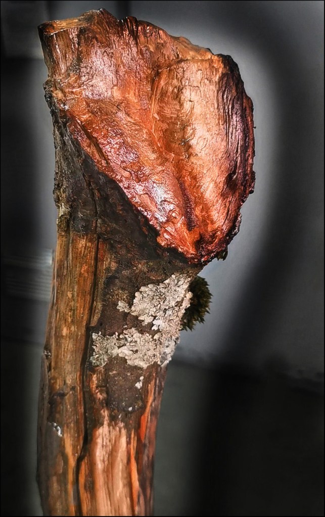 gergana faust dame en noir sculpture bois 