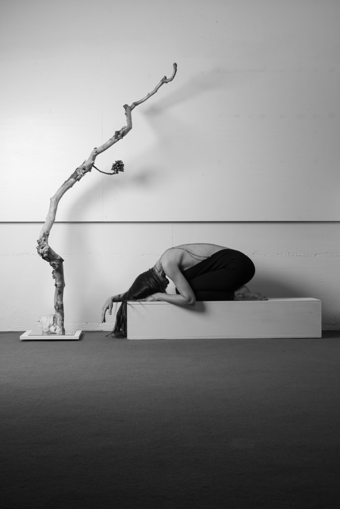 gergana faust 
sculpture bois passion