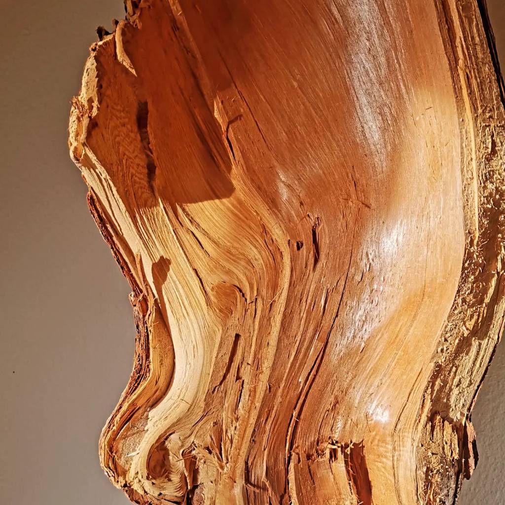 gergana faust 
sculpture bois flamme