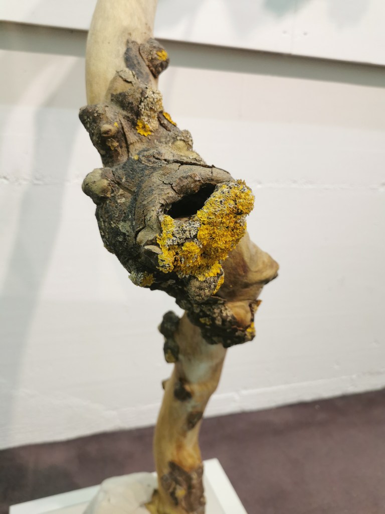 gergana faust 
sculpture bois passion