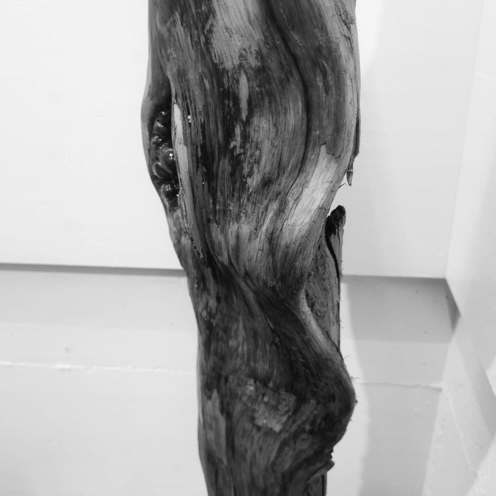 gergana faust 
sculpture bois coeur ouvert